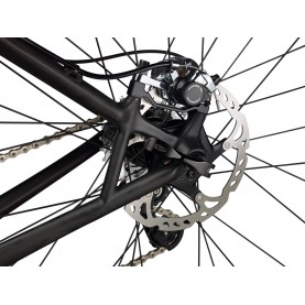 K8 disc