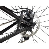 K8 disc