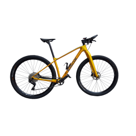 Mountain Bike EROX Carbon HT