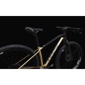Mountain Bike EROX Carbon HT