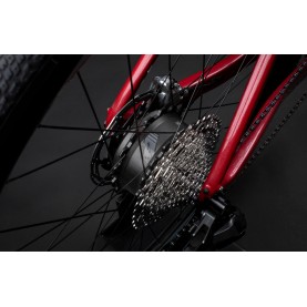 E-Gravel Rennrad EROX Carbon GRX Di2
