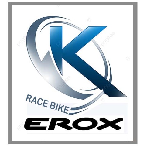 Rennrad Karbon Erox K9 custom made bike