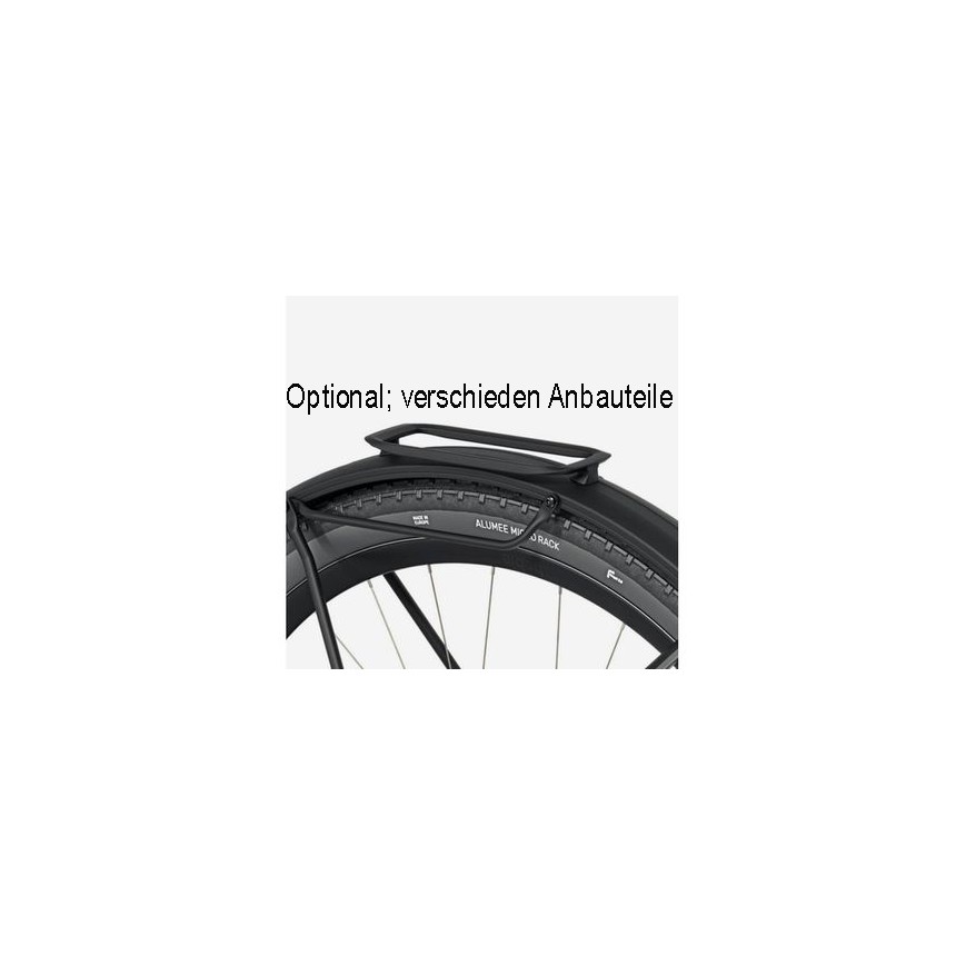 E-Tour Karbon Bike Erox Tour Pro