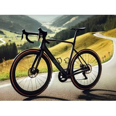 Rennrad Karbon Erox K9 custom made bike