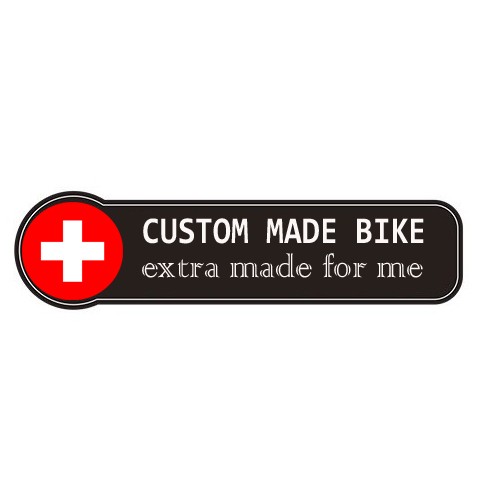 Rennrad Karbon Erox K9 custom made bike
