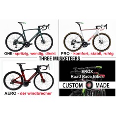 Rennrad Karbon Rahmen Erox Pro One AB LAGER