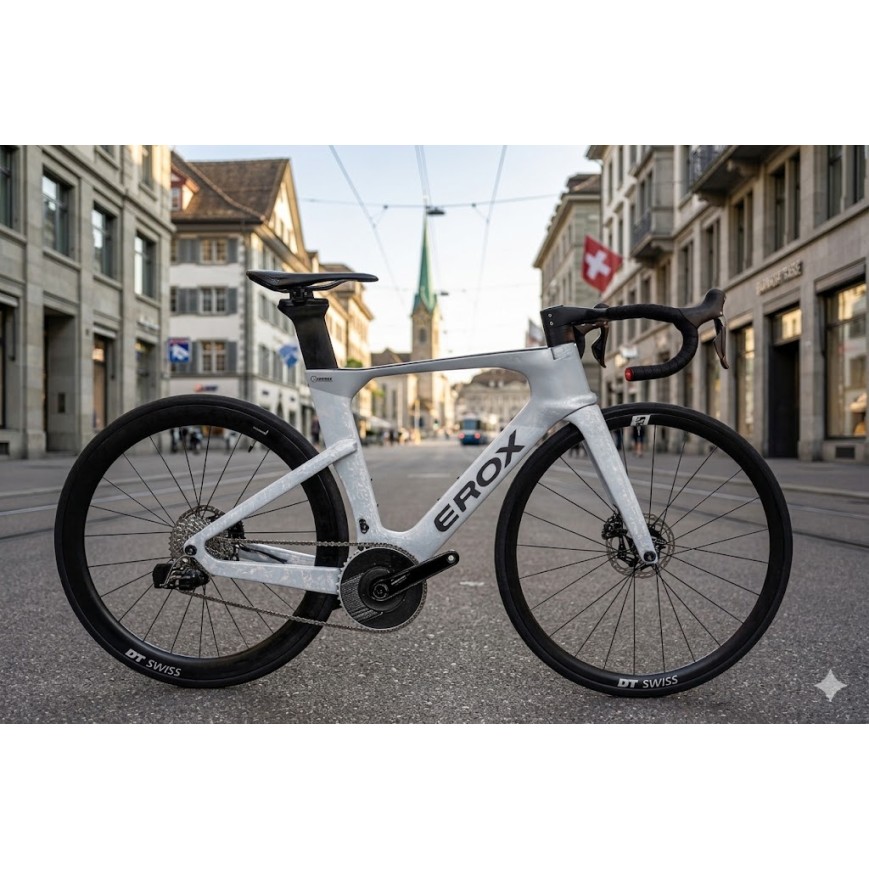 Rennrad Aero Erox SpeedU disc custom made